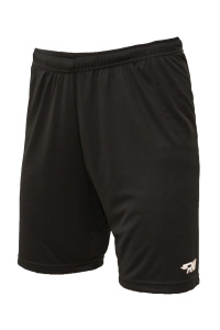 Шорты RAY  SPORT (MEN), черный