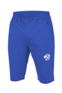 Шорты RAY футер 2-х нитка василек