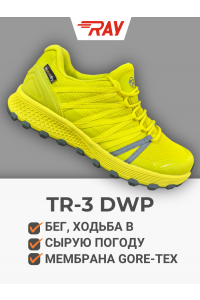 Кроссовки RAY беговые бездорожье TR-3 DWP желто-зеленый
