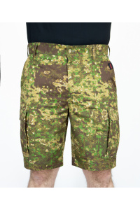 Шорты RAY (Men) Military коричневый