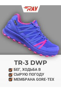 Кроссовки RAY беговые бездорожье TR-3 DWP темно-синий/красный