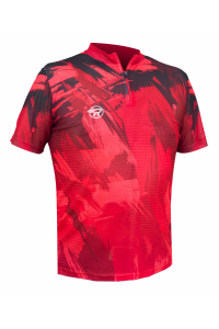 Футболка RAY (Men) с воротником стойкой с замком (втачной рукав)  принт STROKES 