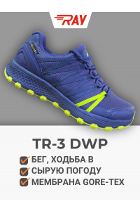 Кроссовки RAY беговые бездорожье TR-3 DWP синий