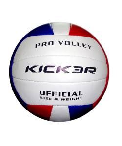 Мяч волейбольный LARSEN Kicker Vega