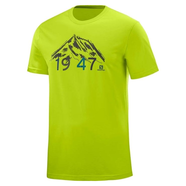 Футболка SALOMON 1947 SS TEE M ACID LIME фото 1