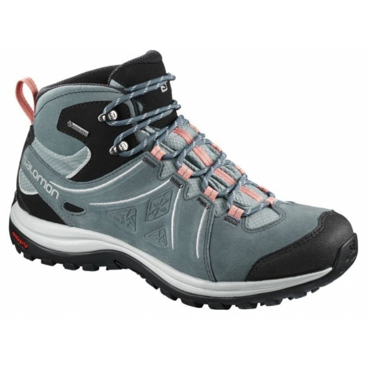 Ботинки SALOMON ELLIPSE 2 MID LTR GTX W Le/Storm фото 1