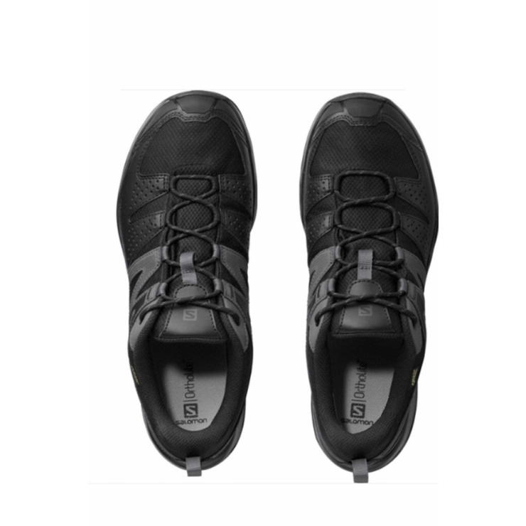 Salomon men's x radiant gtx online