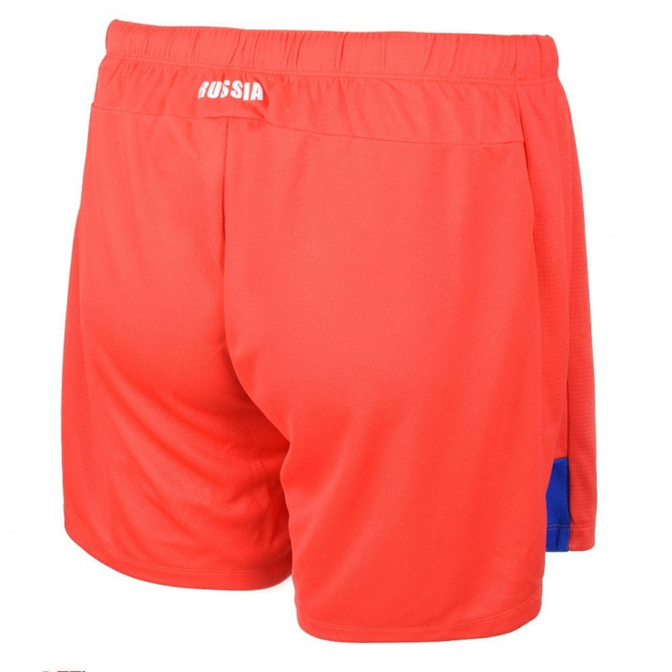 Шорты ASICS MAN RUSSIA SHORT фото 2