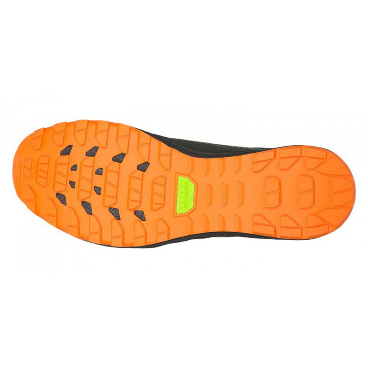 Gecko xt outlet