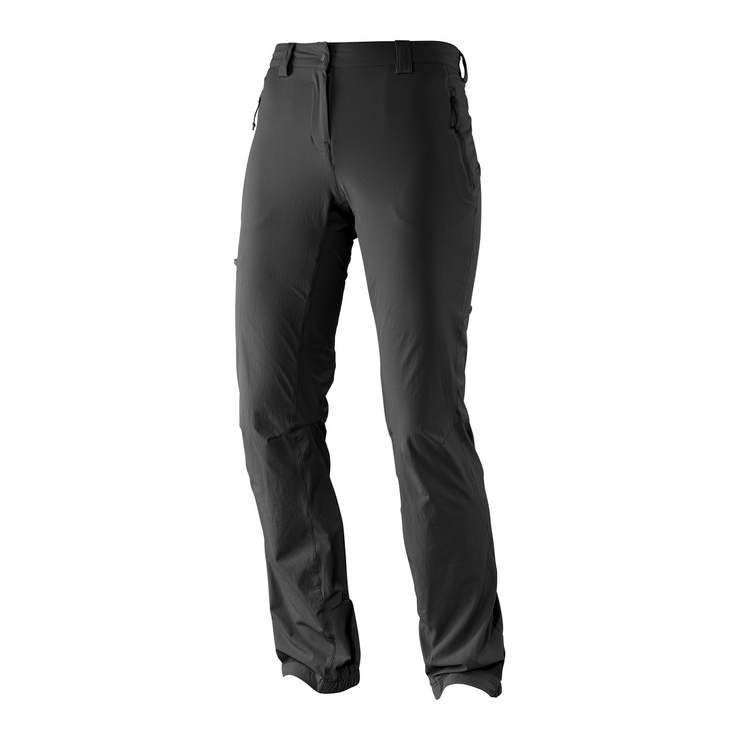 Брюки SALOMON WAYFARER INCLINE PANT W BLACK фото 1