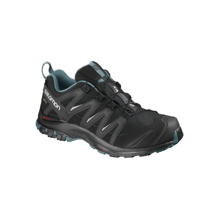 Кроссовки SALOMON XA PRO 3D GTX NOCTURNE BK/BK фото 1