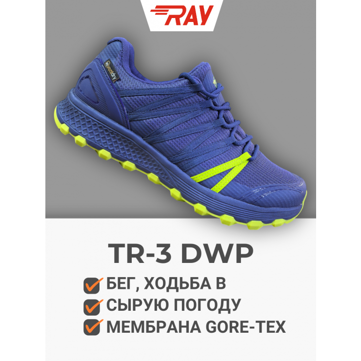 Кроссовки RAY беговые бездорожье TR-3 DWP синий фото 1