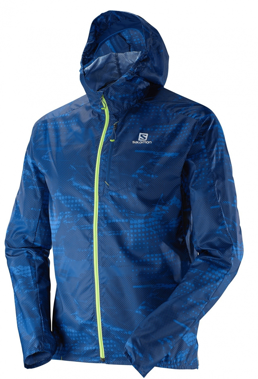 Salomon fast shop wing graphic hoodie