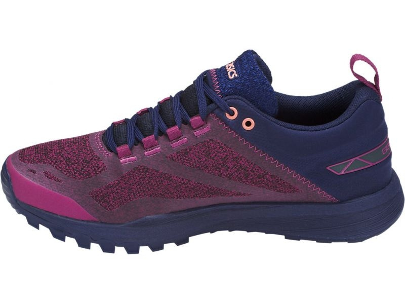 Купить Кроссовки ASICS GECKO XT (W) темно-синий T876N-3249 в Екатеринбурге  по лучшей цене с доставкой | Интернет-магазин RAY (LuchSki.ru)